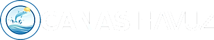 Canas Havuz Yapımı: Havuz Kimyasalları